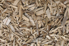 biomass boilers Liney